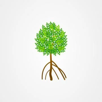 Tree and roots vector, mangrove tree illustration, mangrove plant Stock Illustration