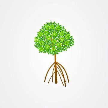 Tree and roots vector, mangrove tree illustration, mangrove plant Stock Illustration