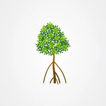 Tree and roots vector, mangrove tree illustration, mangrove plant Stock Illustration