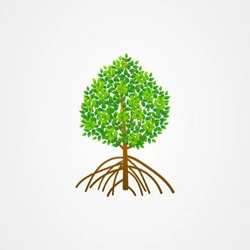 Tree and roots vector, mangrove tree illustration, mangrove plant Illustrazione stock