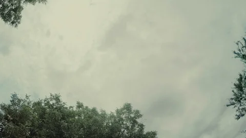 Tree and sky drive nature, travel, tree, blue, green, california, hollywood Stock Footage 87494974