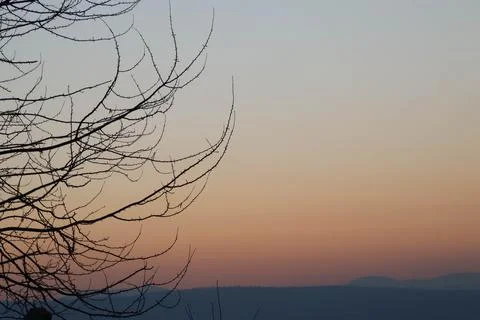 A tree and a sky during evening, fire sky. Stock Photos