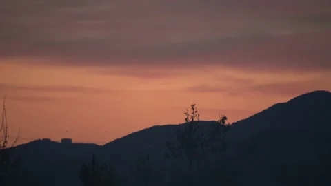 Tree and Sky Stock Footage 139010362