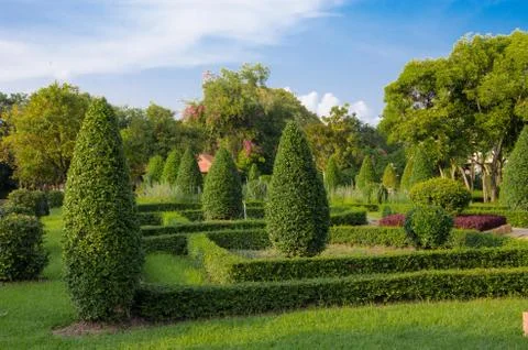 Tree and sky Stock Photos