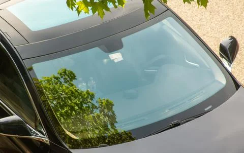 A tree and sky reflected in the windshield of a car Stock Photos