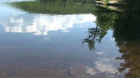 Tree and Sky Reflection in Lake Water Stock Footage 462341