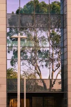 Tree and Sky Reflection on Modern Glass Office Building Facade Stock Photos