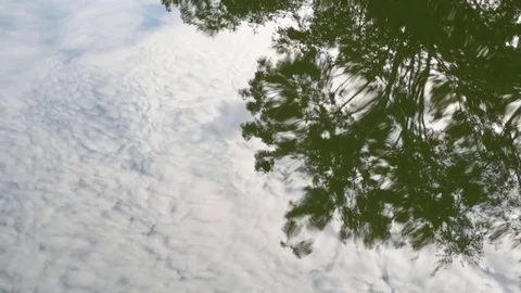 Tree and sky reflection in the water.  59 fps Vídeos de archivo 73756379
