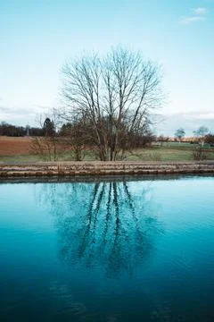 Tree and sky reflection in water Stock Photos