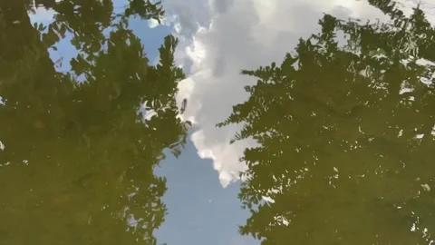 Tree and sky reflections on still water forming a tranquil Video stock 312856928