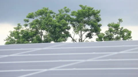 Tree and Solar cell Stock Footage 139902074