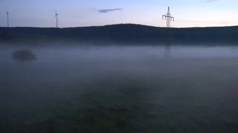 Tree and stream in fog. Video stock 69233964