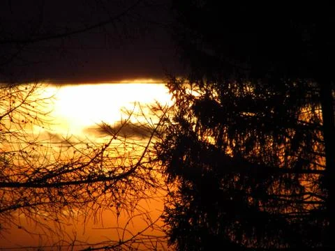 Tree and sun Stock Photos