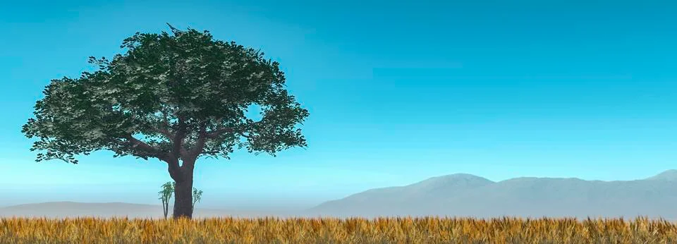 Tree and sunset Stock Illustration