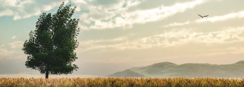 Tree and sunset Stock Illustration