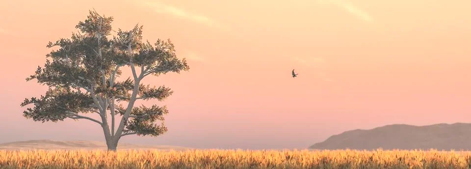 Tree and sunset Stock Illustration