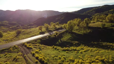 A tree and sunset on the side of a mountain road Stock Footage 258304324