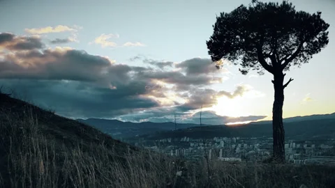 Tree and sunset time laps Stock Footage 144539851