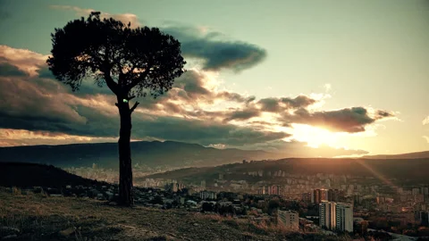 Tree and sunset time laps Stock Footage 144539852