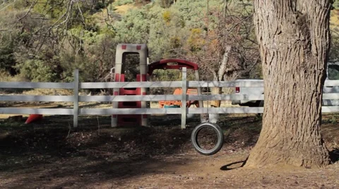 Tree And A Swing_Light Movement_Graded 스톡 동영상 41511938
