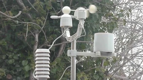 Tree and weather station in strong wind Stock Footage 92575242