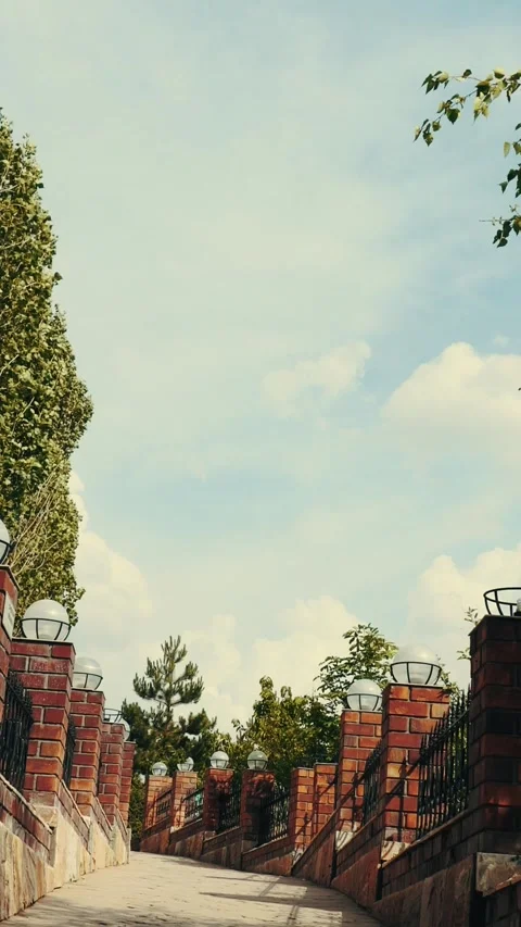 A tree and white bushes above the stairs Stock Footage 254457570