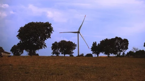 Tree and Wind Power, Ecology and Green Energy Stock Footage 90364018