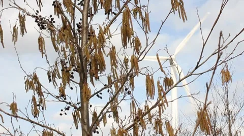 Tree and wind turbine Stockbeeldmateriaal 8647329