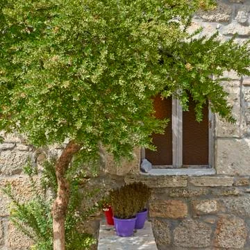  tree and window on stone wall, Hydra island, Greece Stock Photos