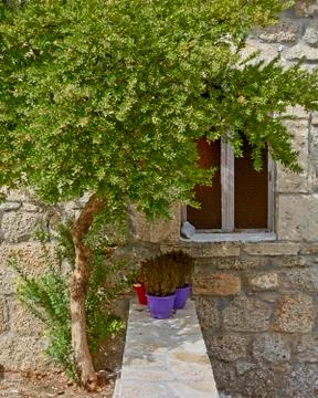  tree and window on stone wall, Hydra island, Greece Stock Photos