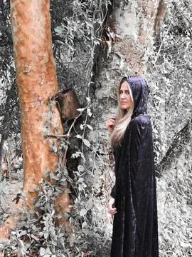 The tree and the witch Stock Photos