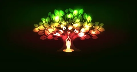 Tree and woman Stock Footage 71534016