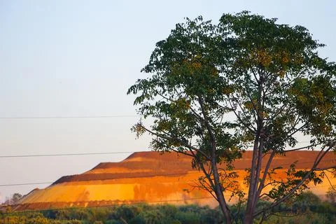 A tree and a yellow mountain Stock Photos