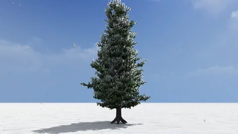 Tree Animation in Snowfall 스톡 동영상 329046888