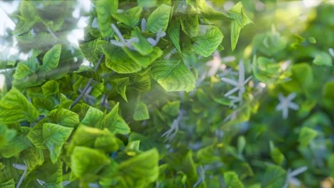 Tree animation sun rays in the forest green leaf background horizontal 05 Stock-Footage 305173871