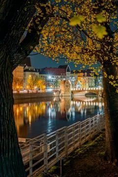 Tree arch overlooking the Odra river Wroclaw Breslau Foto stock