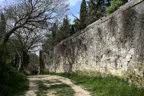 Tree arching on the bend of a dirt path bordered by a boundary wall in a pa.. Stock Photos