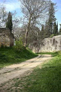 Tree arching on the bend of a dirt path bordered by a boundary wall in a pa.. Stock Photos