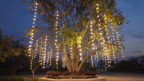 A tree arrangements with lights Stock Footage 264722273