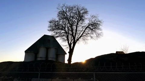 Tree in an Asphalt Plant - Number 2 Video stock 150746503