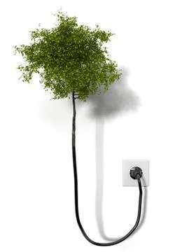 Tree attached to the network Stock Illustration