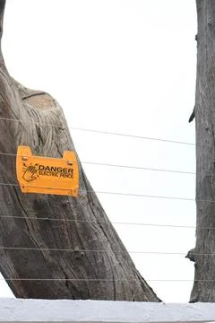 Tree With Attached Sign 写真素材