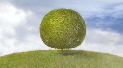 Tree in autumn, falling leaves Stock Footage 43736657