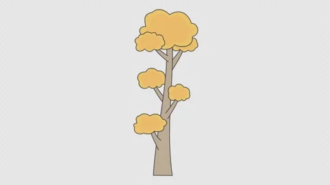 Tree for autumn Stock Footage 337836536