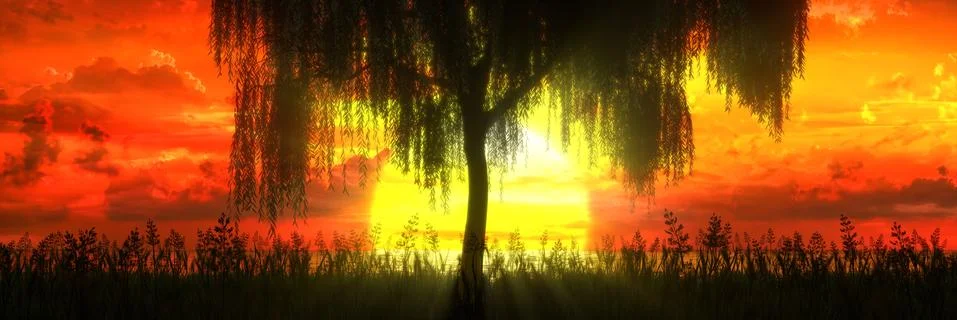 Tree on the background of a beautiful sunset Stock Illustration