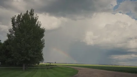 Tree on the background of a blue sky with clouds Stock-Footage 252142667