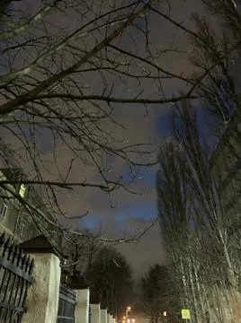 Tree on the background of buildings in the evening Stock Photos
