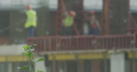 Tree on a Background of Construction Stock Footage 64975513