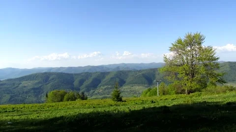 Tree on a background of mountains Stock Footage 68807414