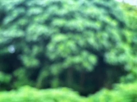 Tree background Stock Photos